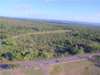 Puerto Rico - Bienes Raices VentaFinca de 76 Cuerdas en Vieques Puerto Rico