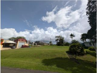 Puerto Rico - Bienes Raices VentaBo. Jaguas Sec. Quintas del lago, Solar #2 Gurabo Puerto Rico