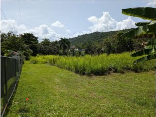 Puerto Rico - Bienes Raices VentaBo. Jaguas Sec. Quintas del Lago, Solar #3, Gurabo Puerto Rico