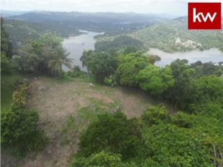 Puerto Rico - Bienes Raices VentaBO. LA GLORIA, SOLAR EN TRUJILLO ALTO Puerto Rico