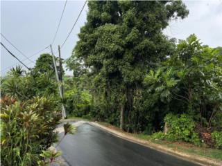 Clasificados Guaynabo Puerto Rico