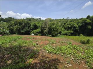 Puerto Rico - Bienes Raices VentaSolar en San Sebastin, Sect. El Tnel Puerto Rico