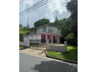 Puerto Rico - Bienes Raices VentaPROPIEDAD EN BO. QUEBRADA HONDA, SAN LORENZO  Puerto Rico