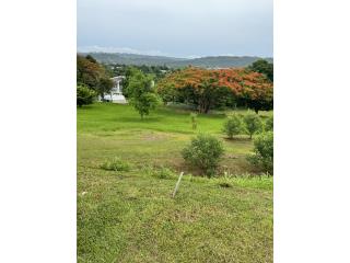 Puerto Rico - Bienes Raices VentaSe vende  solar Carr..109 Int 497 km 0.3  Puerto Rico