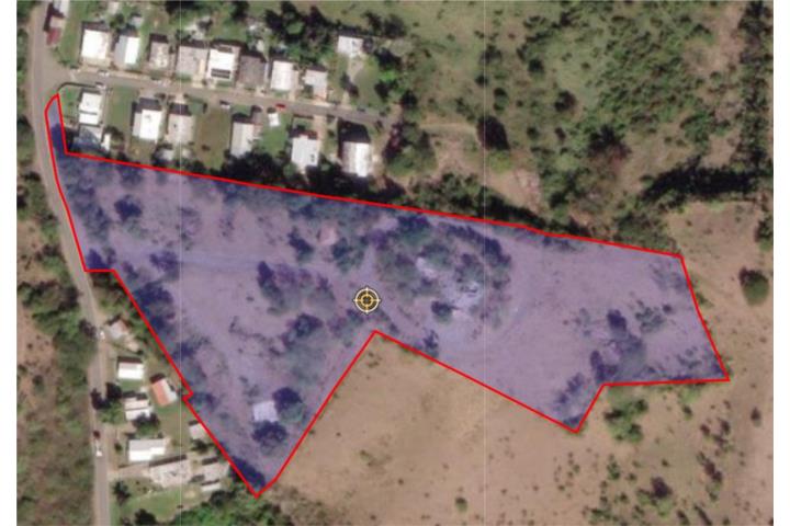 Pedernales Puerto Rico Cabo Rojo