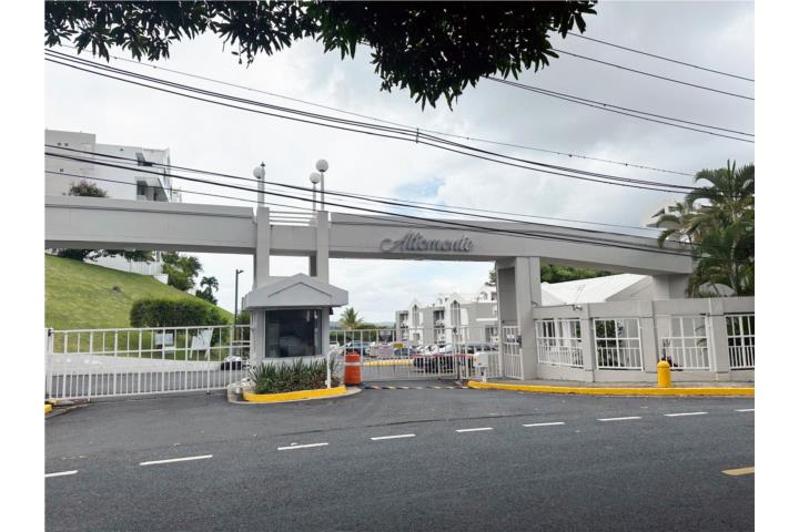 Altomonte Puerto Rico