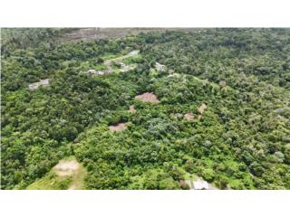 Puerto Rico - Bienes Raices VentaFOR SALE|17 ACRES |BO. CIDRAL, SAN SEBASTIAN Puerto Rico