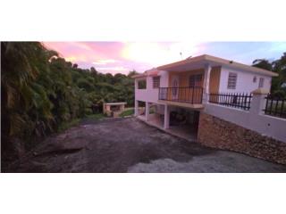 Bienes Raices Juncos Puerto Rico