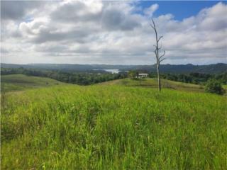 Puerto Rico - Bienes Raices VentaSe vende amplia finca de 17.63 cdas.  Puerto Rico