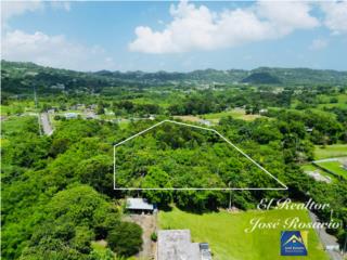 Puerto Rico - Bienes Raices VentaA la venta finca 3.67 cuerdas Jos Rosario  Puerto Rico