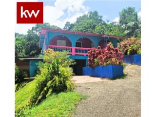 Puerto Rico - Bienes Raices VentaBO. RIO ARRIBA, CASA EN ARECIBO Puerto Rico