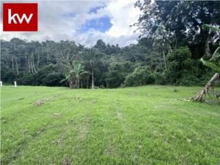 Puerto Rico - Bienes Raices VentaURB. VALLE ESCONDIDO, TERRENO EN GUAYNABO Puerto Rico