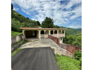 Puerto Rico - Bienes Raices VentaDAMIAN ABAJO, OROCOVIS Puerto Rico