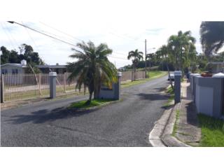 Paseo Las Palmas Puerto Rico