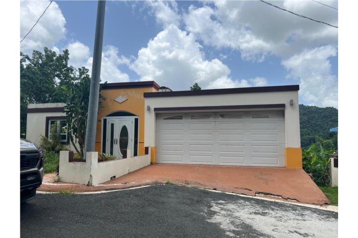 Barrio Nuevo Puerto Rico, Venta Bienes Raíces Naranjito Puerto Rico ...
