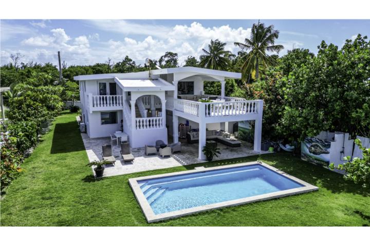 Las Picuas Puerto Rico