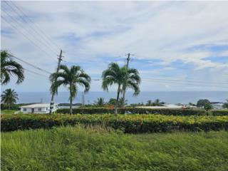 Puerto Rico - Bienes Raices VentaMar Chiquita Manat - Solar - Vista al Mar! Puerto Rico