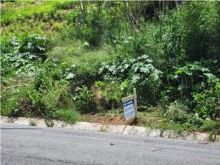 Clasificados Juana Daz Puerto Rico