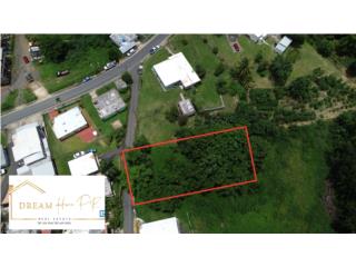 Puerto Rico - Bienes Raices VentaVenta Hermoso terreno de 1,334 m2 Puerto Rico