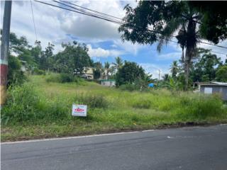 Puerto Rico - Bienes Raices VentaSolar en Bo. Galateo, Toa Alta Puerto Rico