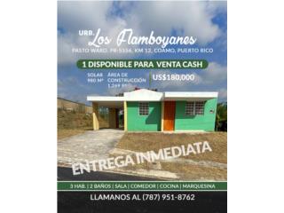 Puerto Rico - Bienes Raices VentaCasa Urbanizacion los Flamboyanes Puerto Rico