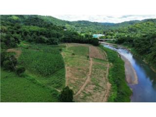 Puerto Rico - Bienes Raices VentaHermosa finca de 13.79 cuerdas, Bo. Guacio Puerto Rico