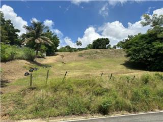 Quebrada Cruz Puerto Rico