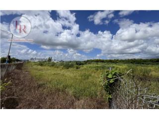 Puerto Rico - Bienes Raices VentaInversionistas! 10 cuerdas de TERRENO PLANO Puerto Rico