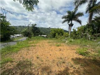 Puerto Rico - Bienes Raices VentaSolar 1,966. Caaboncito - Caguas Puerto Rico