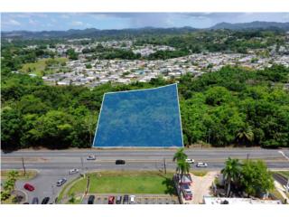 Puerto Rico - Bienes Raices VentaDevelopment Opportunity on PR-167 in Bayamn Puerto Rico