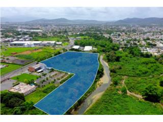 Clasificados Caguas Puerto Rico