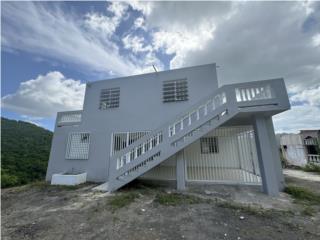 Puerto Rico - Bienes Raices VentaCasa 2 Niveles con 5 cuerdas c acceso a Rio Puerto Rico