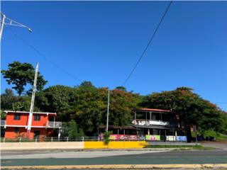 Puerto Rico - Bienes Raices VentaBo Lomas Carretera 149, Juana Diaz Puerto Rico