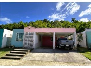 Puerto Rico - Bienes Raices VentaUrb. Borinquen Valley (H) Puerto Rico