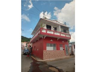 Bienes Raices Corozal Puerto Rico