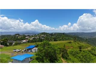 Clasificados Arecibo Puerto Rico