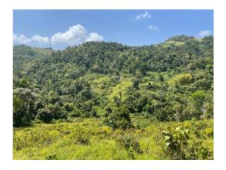 Puerto Rico - Bienes Raices Venta10 Cdas de terreno   PR 907  Puerto Rico