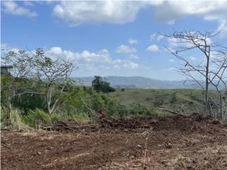 Sabana Alta Puerto Rico