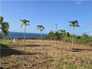 Puerto Rico - Bienes Raices VentaOcean View Cliff Lot Near Road 110 Puerto Rico