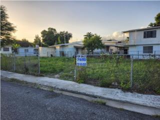 Puerto Rico - Bienes Raices VentaJuana Daz Pueblo. Matienzo Cintrn - Barcel Puerto Rico