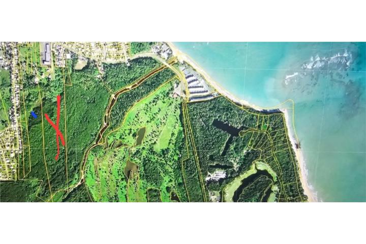 Mediania Alta Puerto Rico