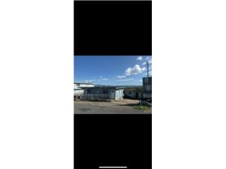 Galeria