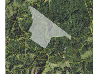 San Lorenzo Agricultural Vacant Land