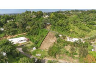 TERRENO EN RINCON, ESPECTACULAR VISTA