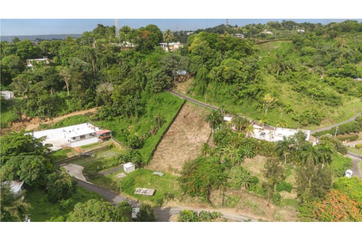 Ubicado en Rincón, este lote de uso mixto consta de aproximadamente 122 metros cuadrados.