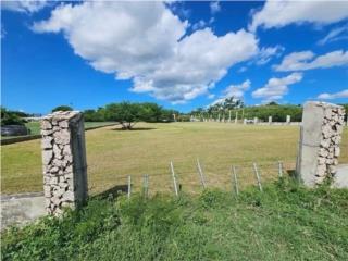 PASO SECO-VENTA CASH