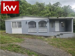 Real Estate Bienes Raices Puerto Rico