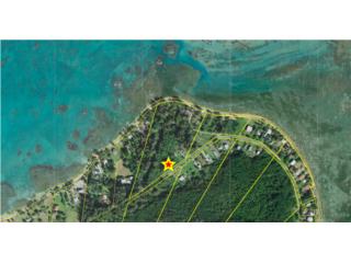 NEW ON MARKET! LAS PICUAS LOT FOR SALE!