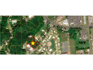 Commercial Opportunity near PR#2 - DORADO!