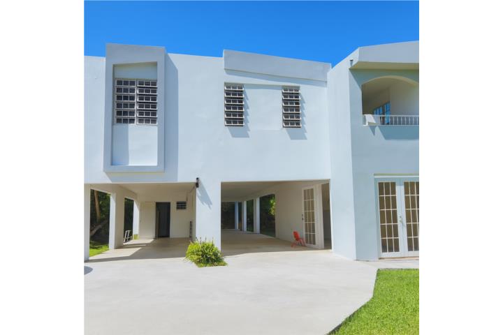 Mulas Puerto Rico Patillas